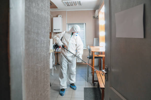 Best Residential Mold Inspection & Testing  in Cedar Springs, MI