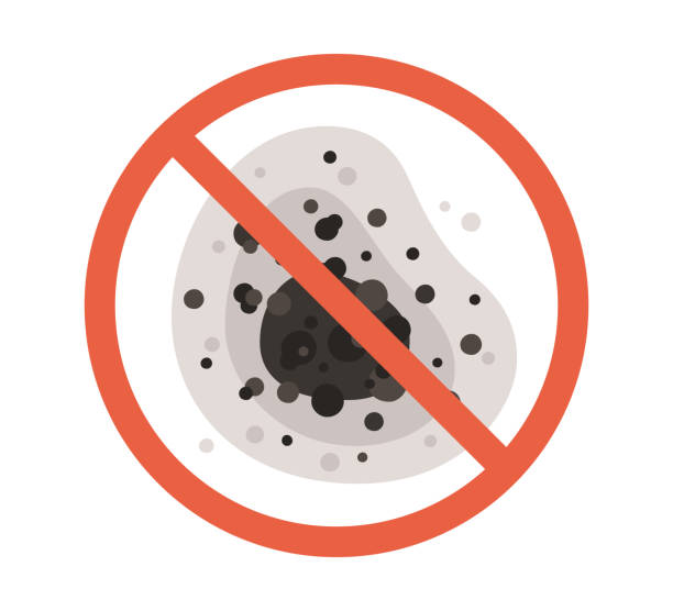 Mold Odor Removal Services in Cedar Springs, MI