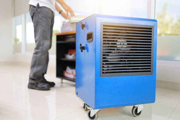Best Emergency Mold Remediation  in Cedar Springs, MI