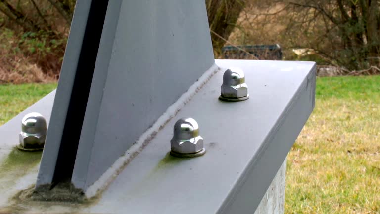 Best Biohazard Mold Removal  in Cedar Springs, MI