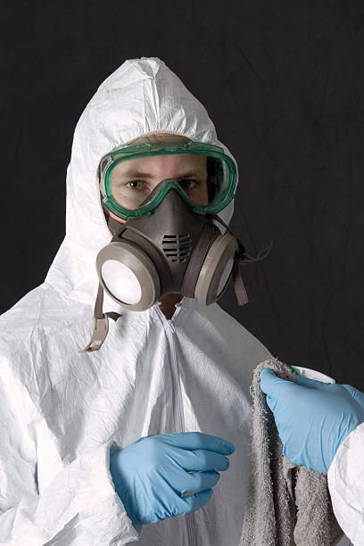 Best Environmental Consulting for Mold Prevention  in Cedar Springs, MI